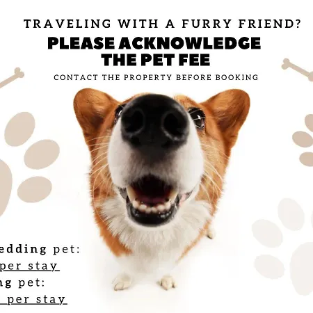 Wonderful - Free Parking - Cabo Ruivo 34636al Lejlighed *